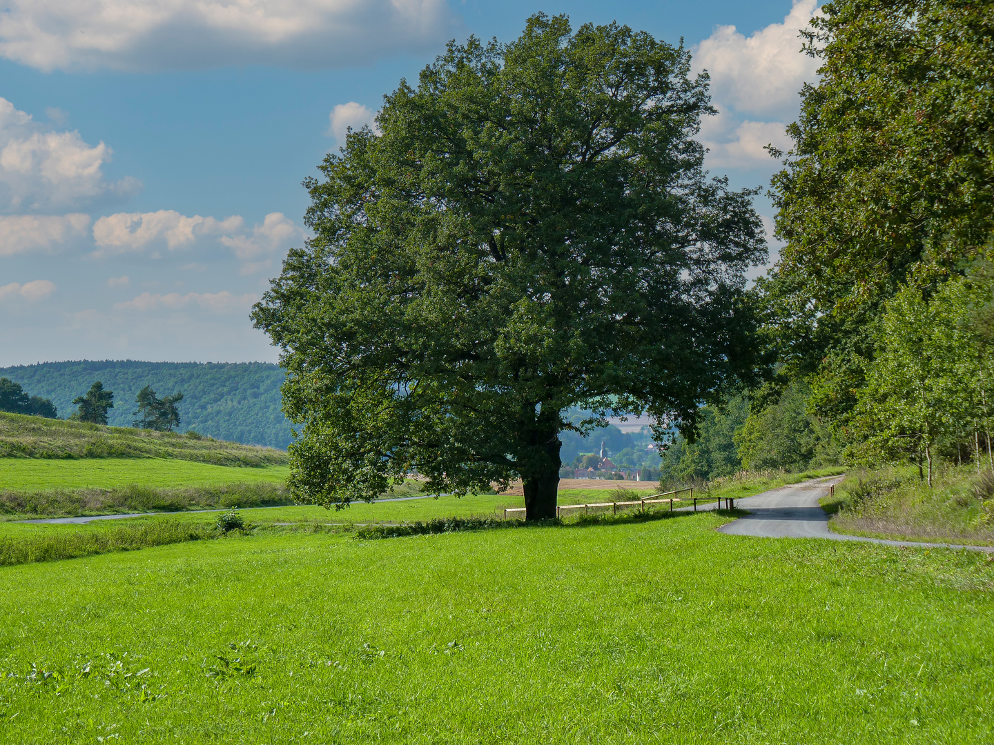 Im schönsten Wiesengrunde..