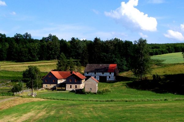 Im schönsten Wiesengrunde..