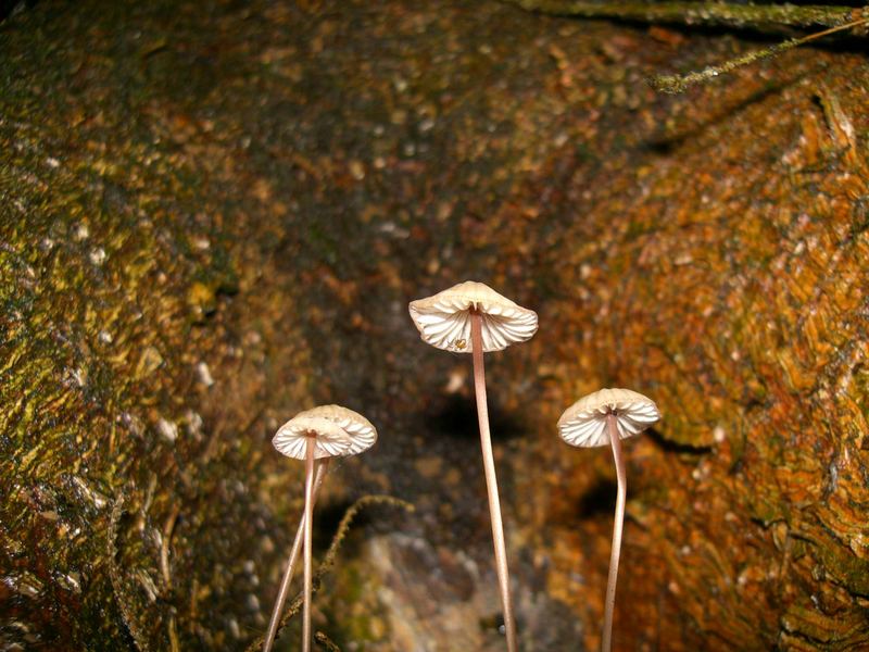 Im Schoss von Mutter Natur