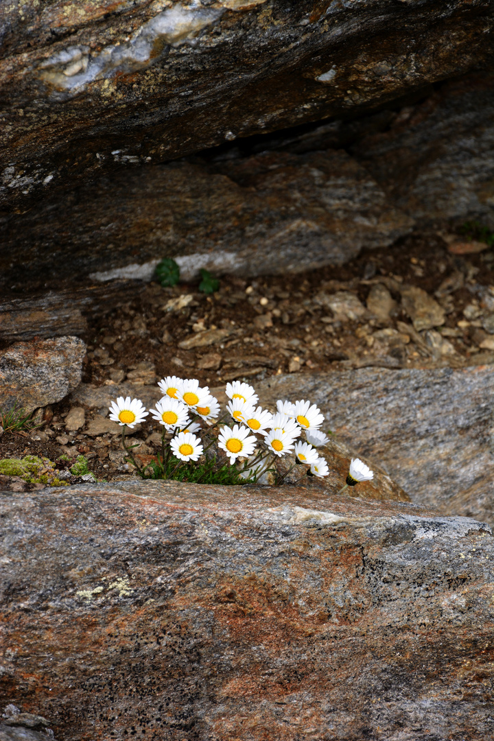 im Schutz der Felsen