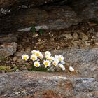 im Schutz der Felsen