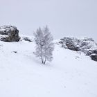 im Schutz der Felsen