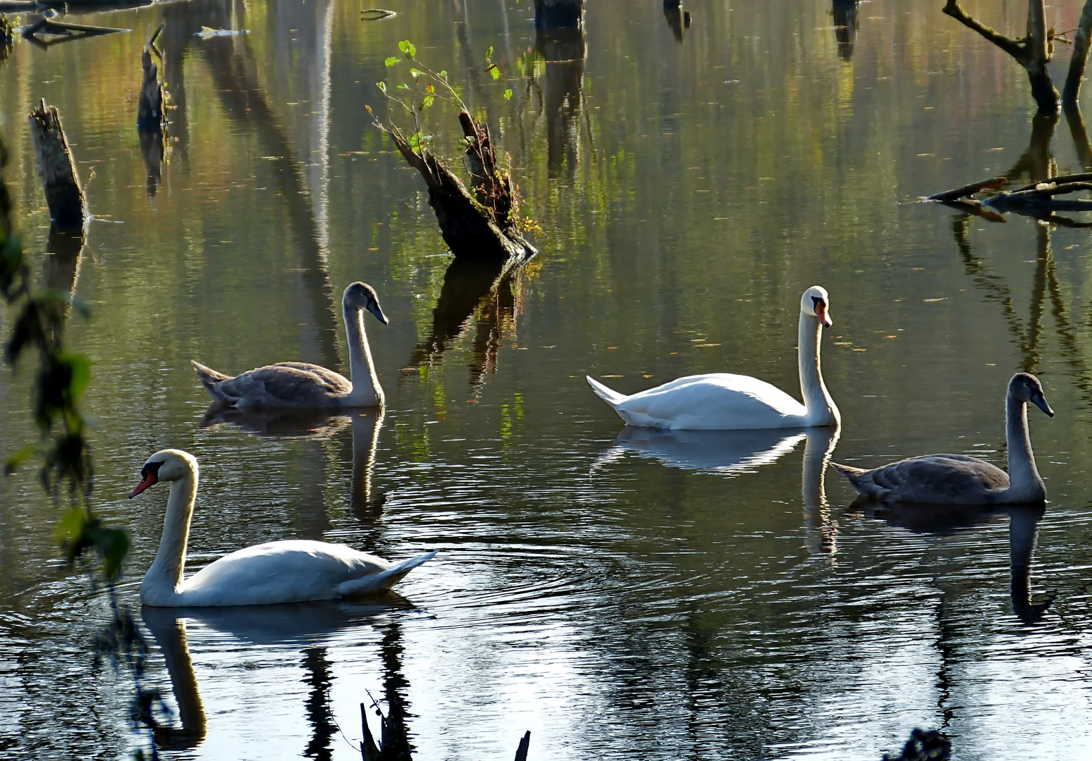 Im Schwalmtal Natur Pur