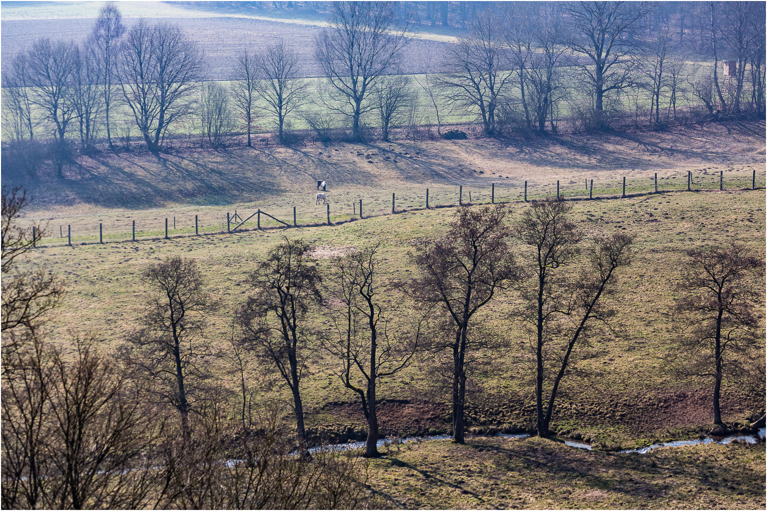 Im Schwarzbachtal