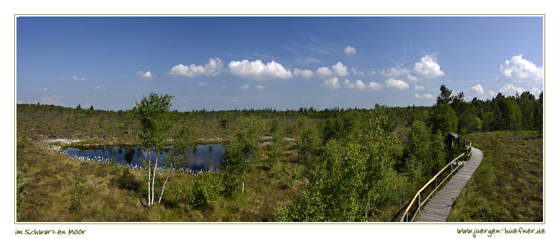 Im Schwarzen Moor