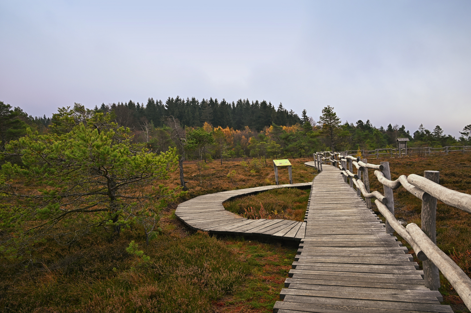 im schwarzen Moor Foto & Bild deutschland, europe, landschaft Bilder