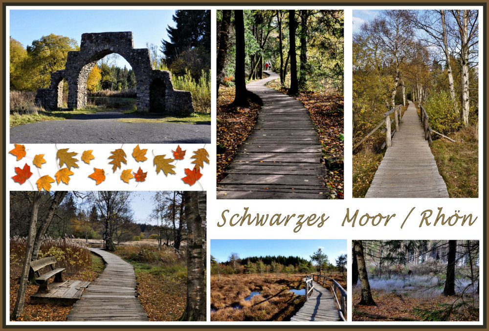 im Schwarzen Moor