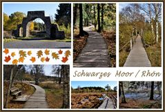 im Schwarzen Moor