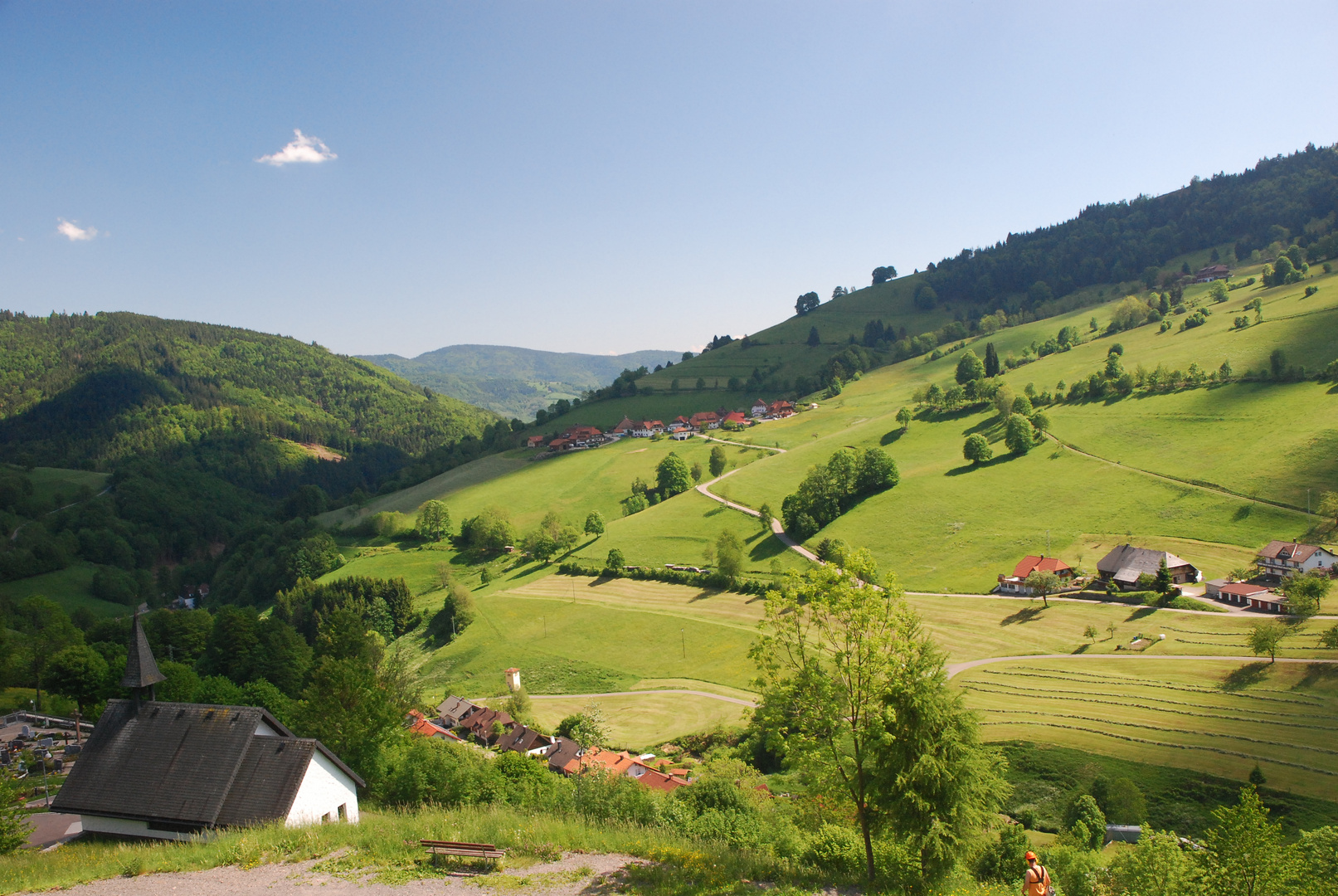 im Schwarzwald