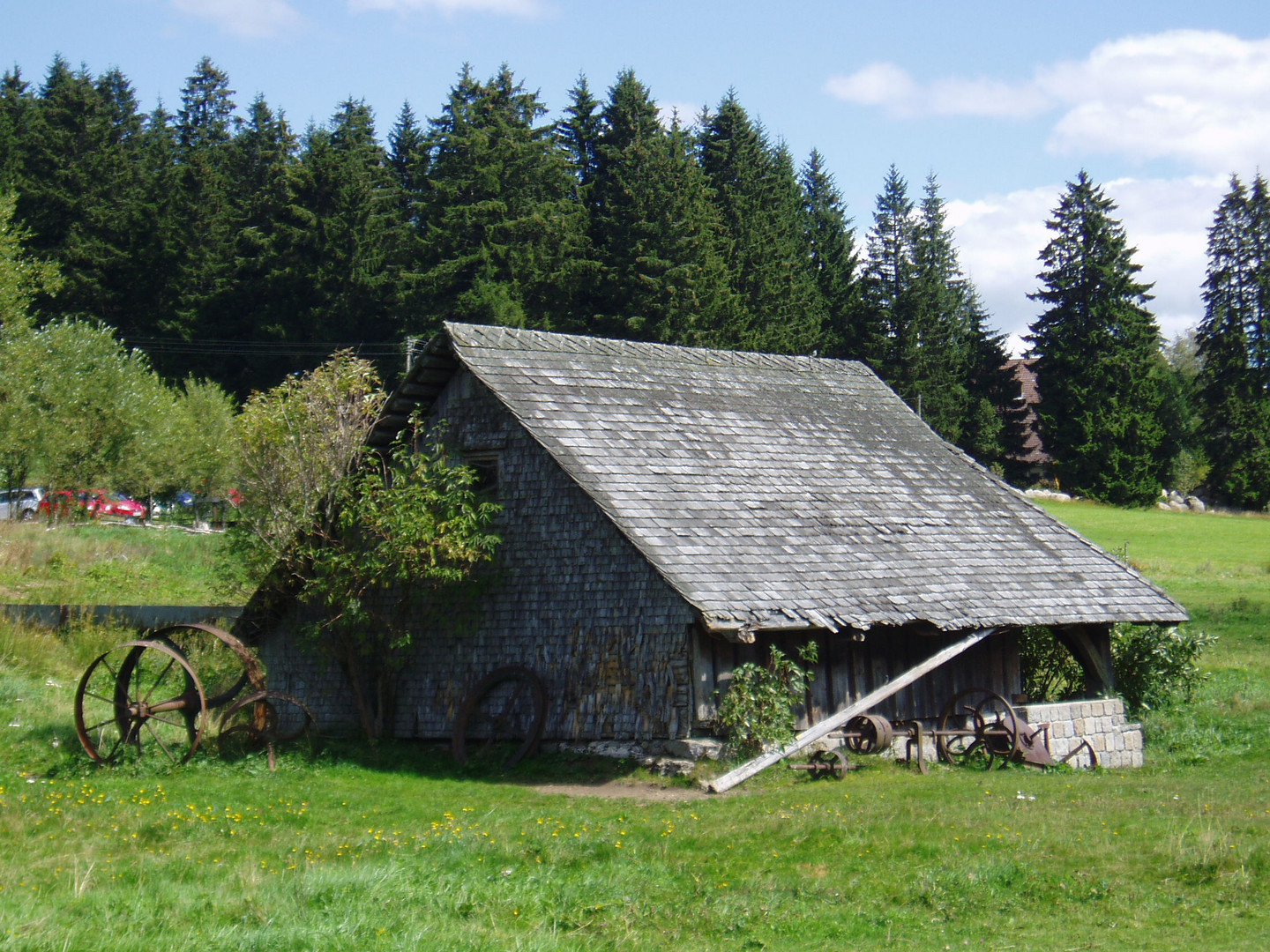 im Schwarzwald