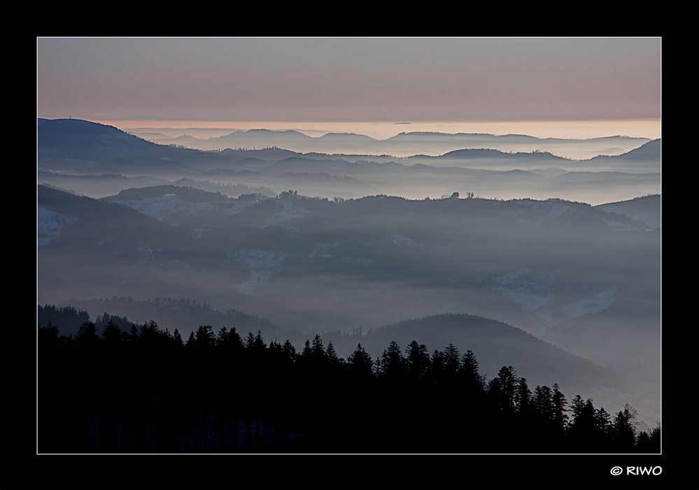 im Schwarzwald.......