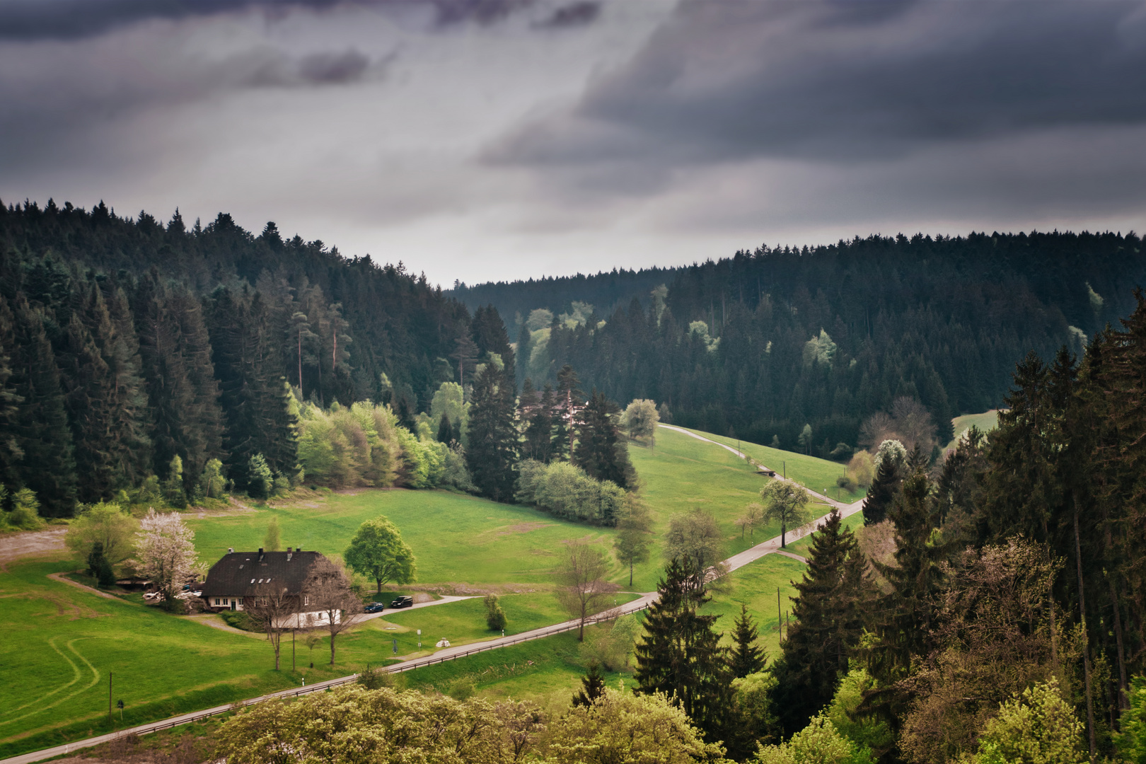 Im Schwarzwald