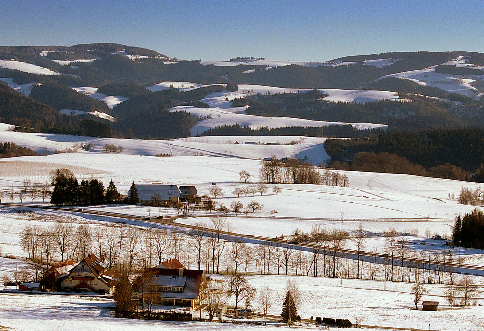 Im Schwarzwald