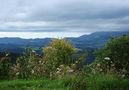 im Schwarzwald von ReDe 