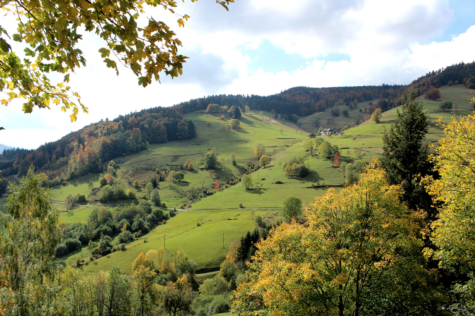 Im Schwarzwald