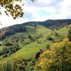 Im Schwarzwald