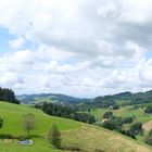  Im Schwarzwald.