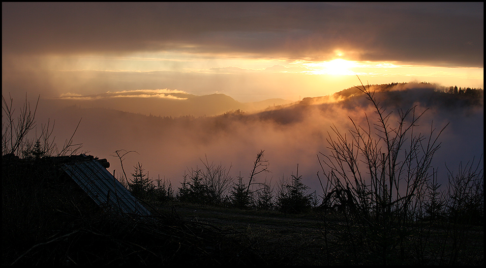 Im Schwarzwald auf 1000 Meter Höhe