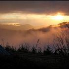 Im Schwarzwald auf 1000 Meter Höhe