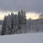 Im Schwarzwald-Baar-Kreis