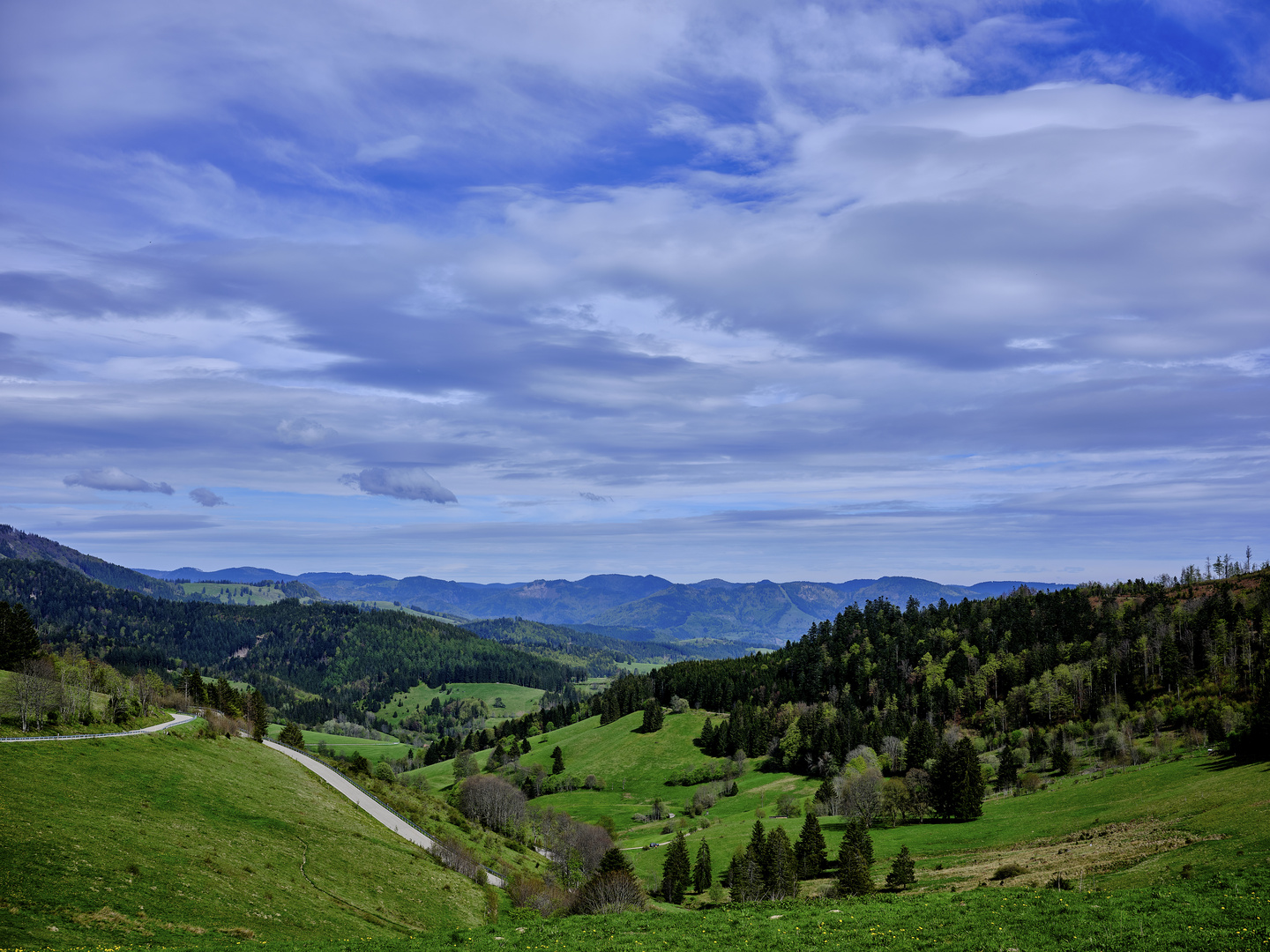 Im Schwarzwald