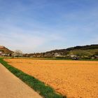  im Schwarzwald von Grunern nach Staufen