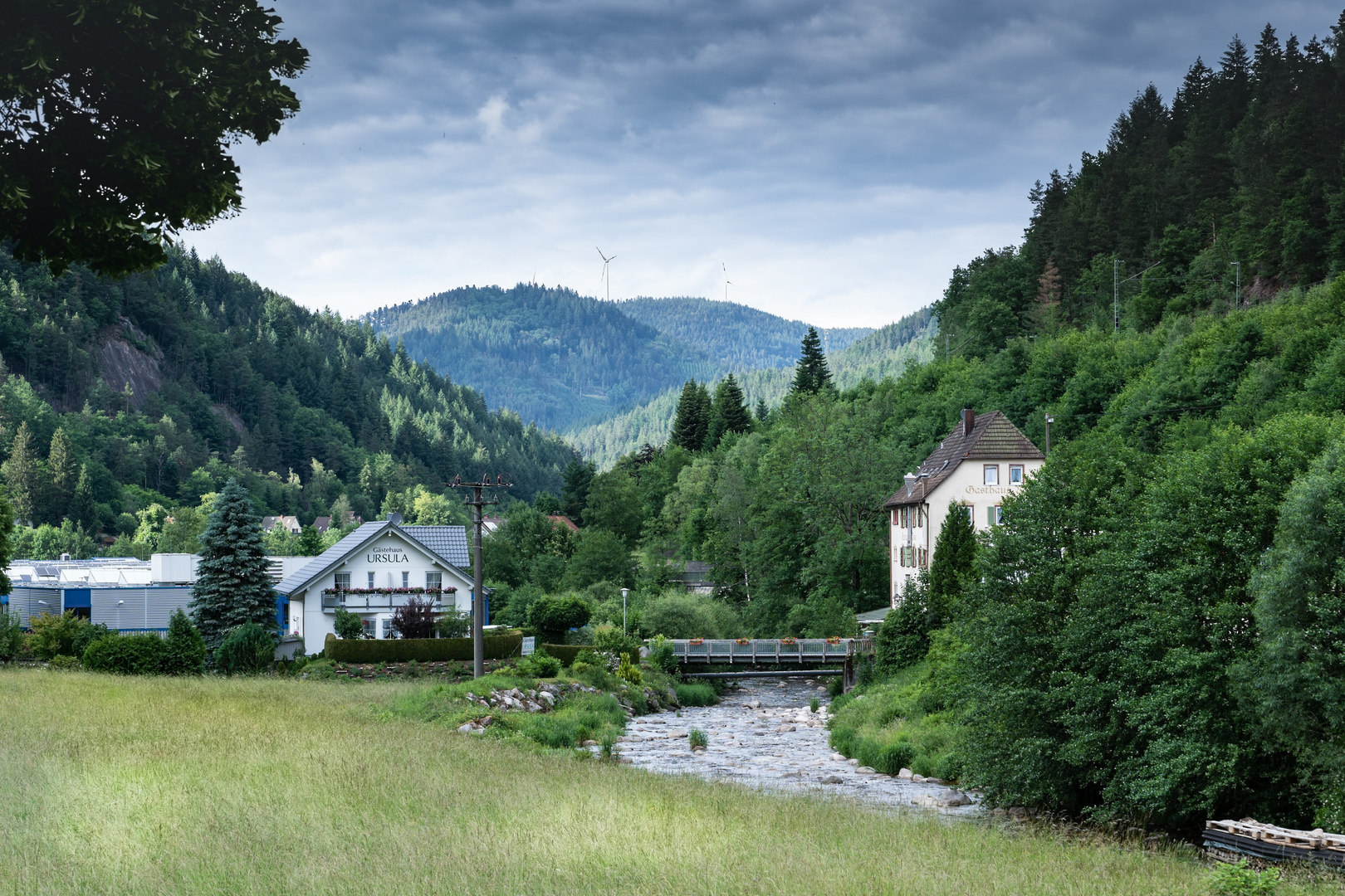 im Schwarzwaldtal