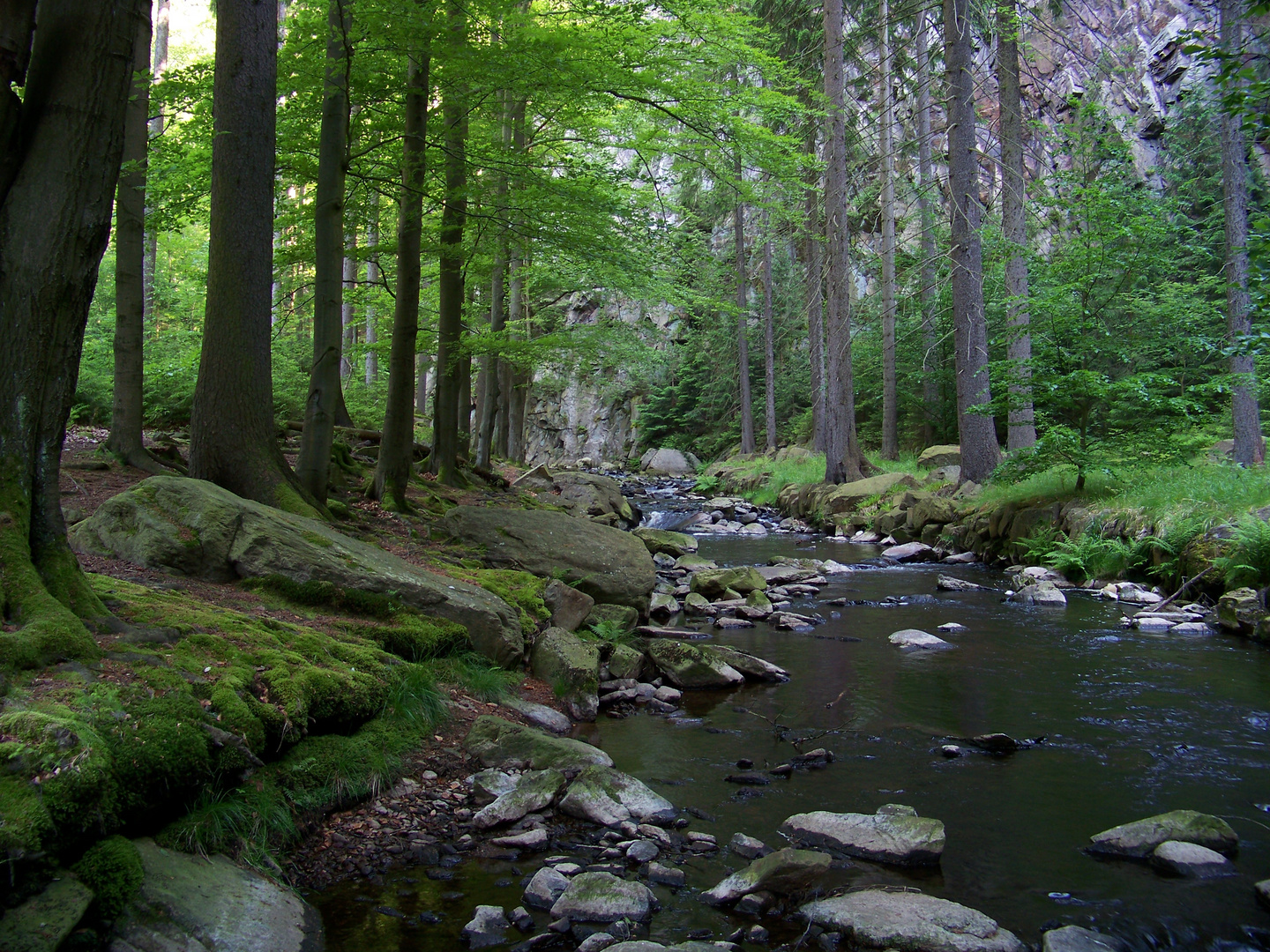 im Schwarzwassertal