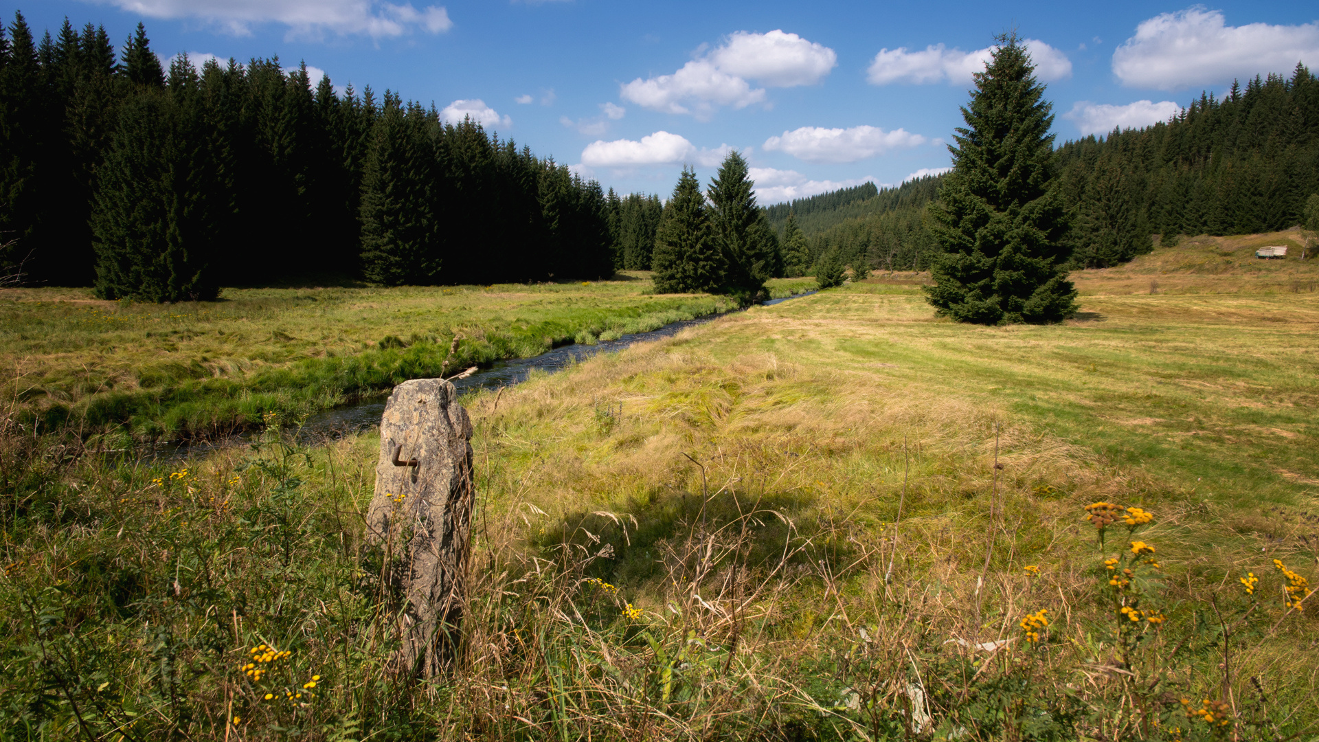 Im Schwarzwassertal