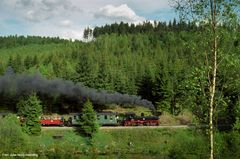 Im Schwarzwassertal