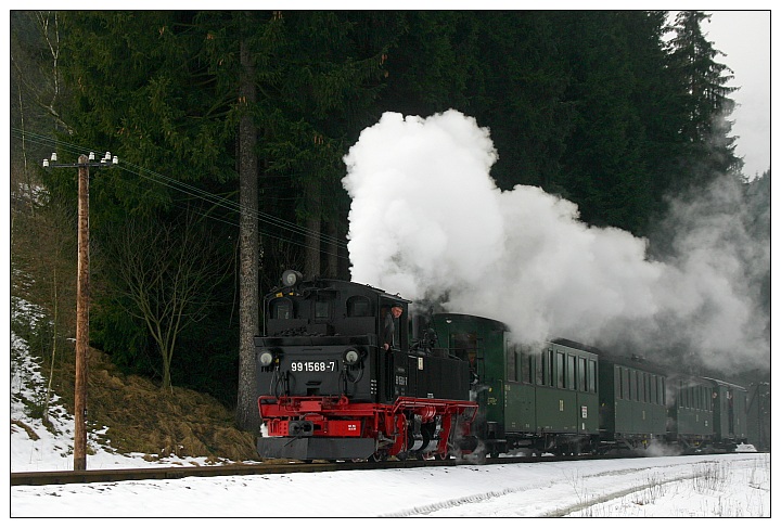 Im Schwarzwassertal...