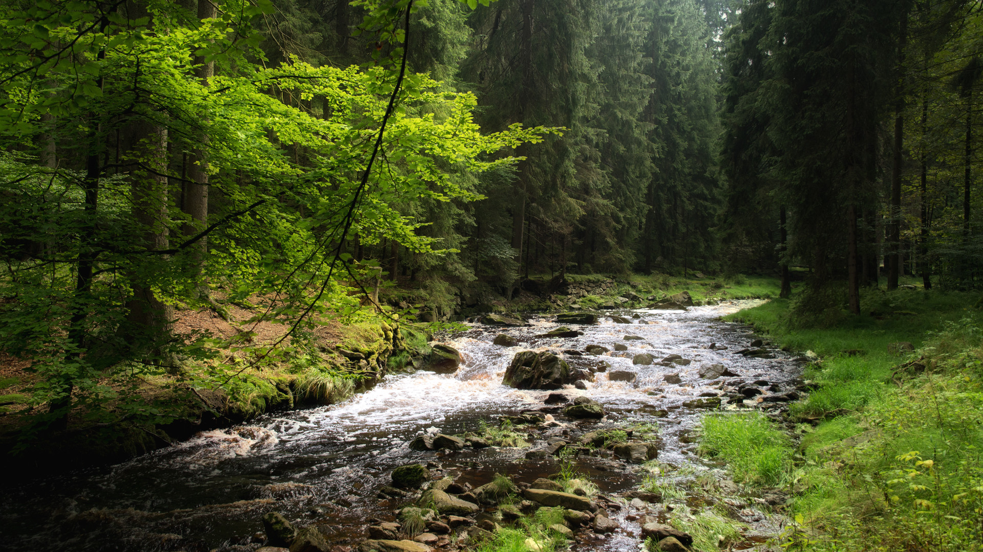 Im Schwarzwassertal