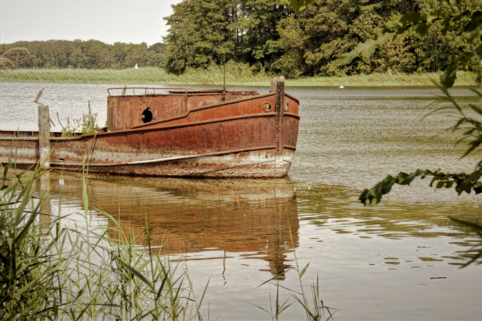 im Schweriner See ....