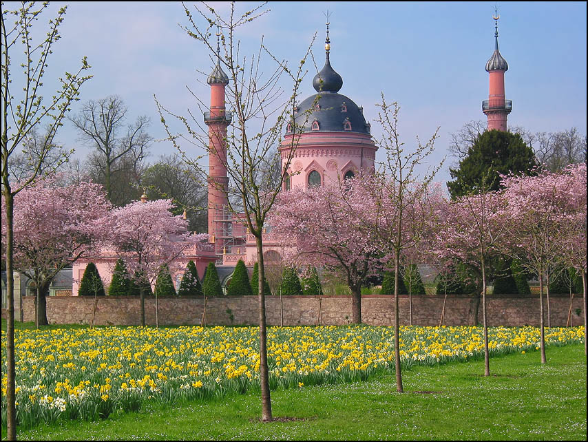 Im Schwetzinger Schloßpark 2...