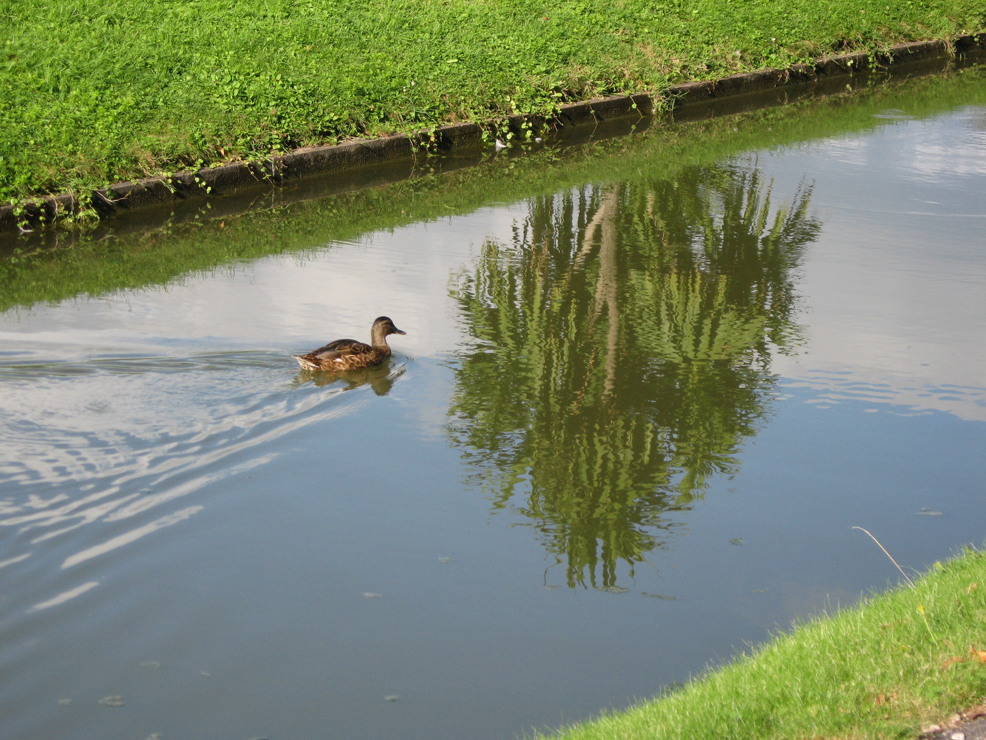 im Schwetzinger Schlosspark