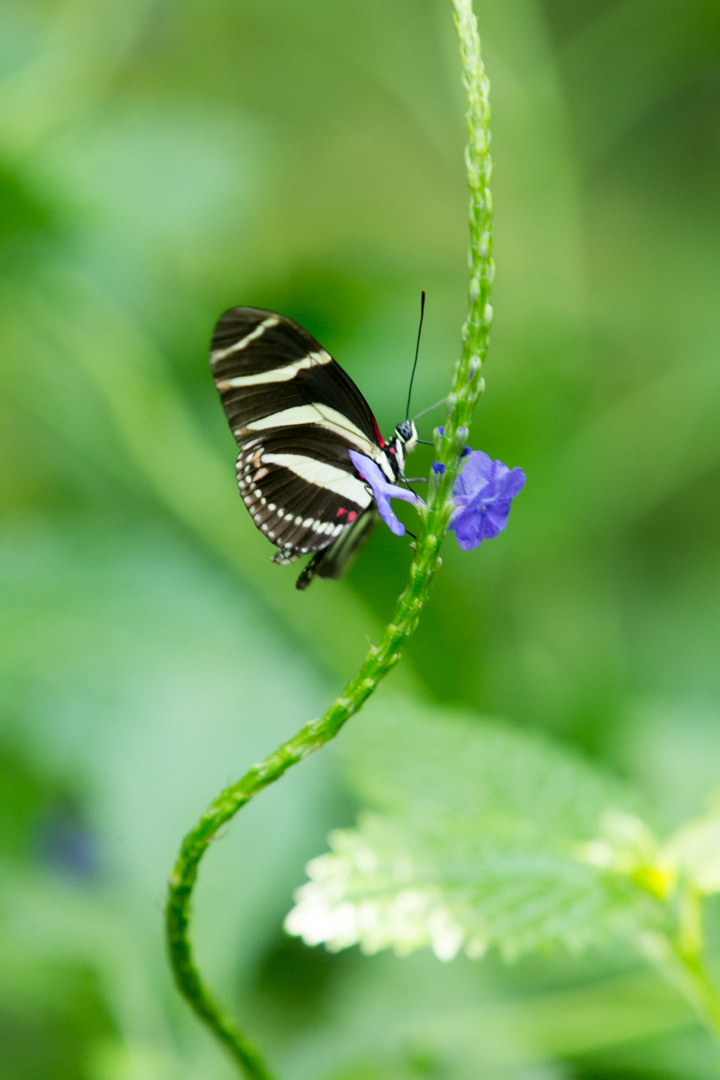 Im Schwung der Natur