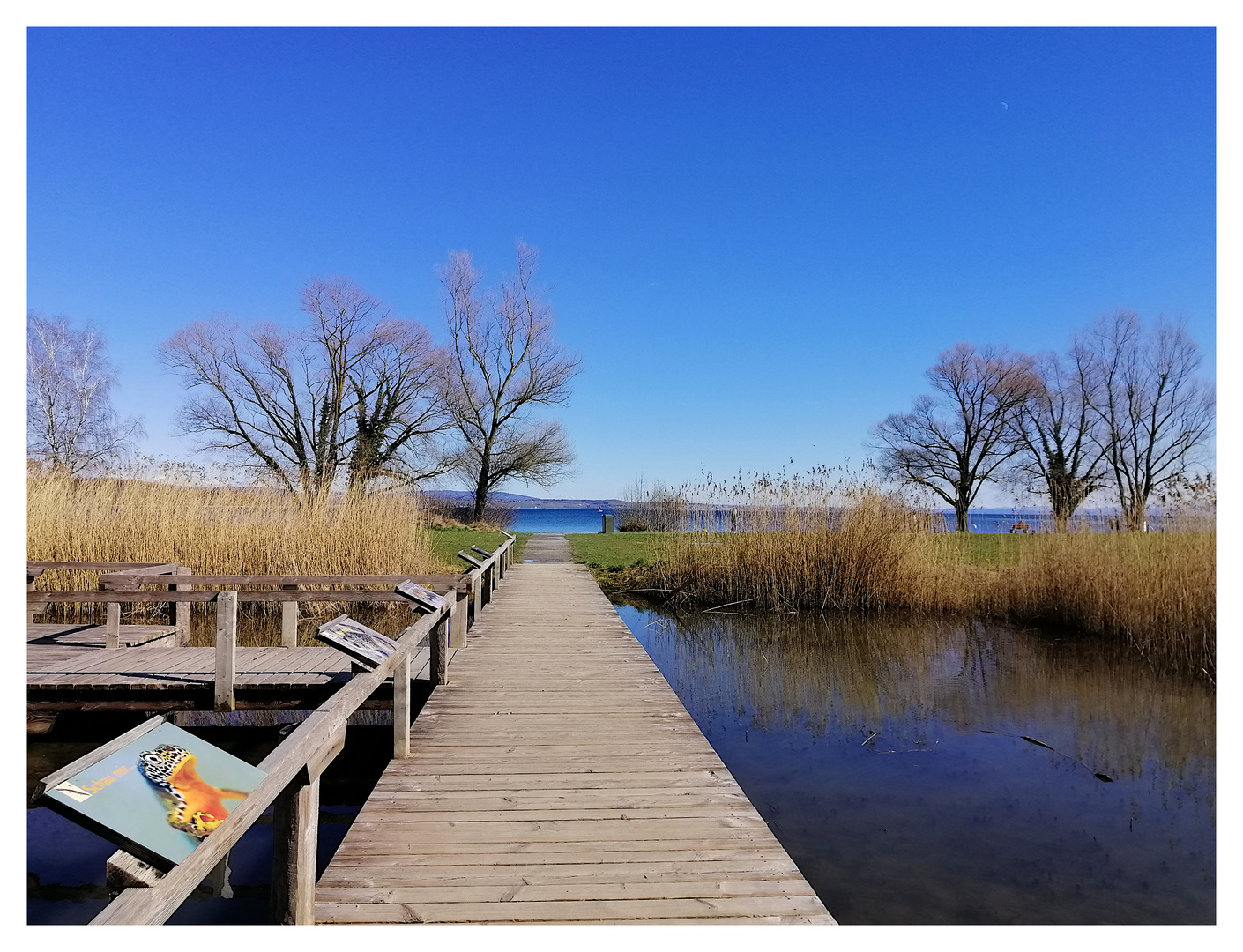 Im Seepark Kreuzlingen