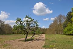 Im Seichböhl 01