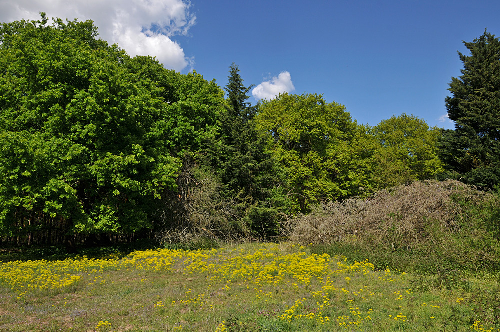 Im Seichböhl 02