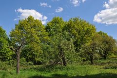 Im Seichböhl 06