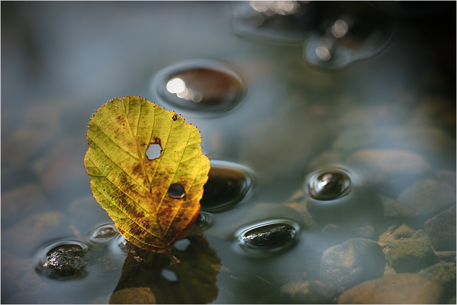 Im seichten Wasser