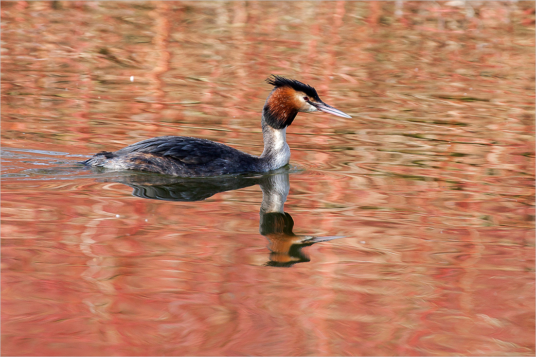 Im seichten Wasser