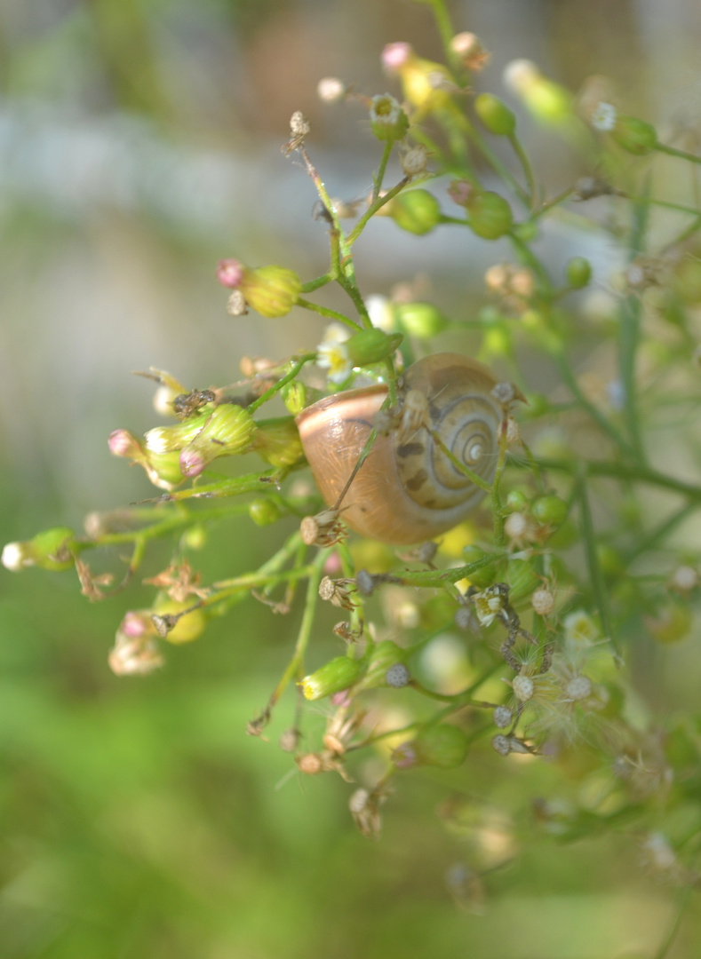 Im Septemberlicht