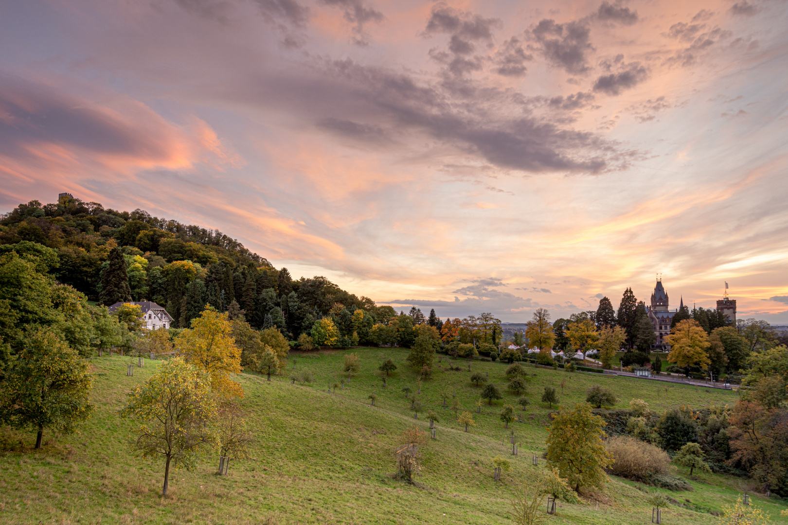 Im Siebengebirge...