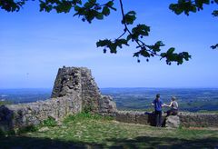 im Siebengebirge