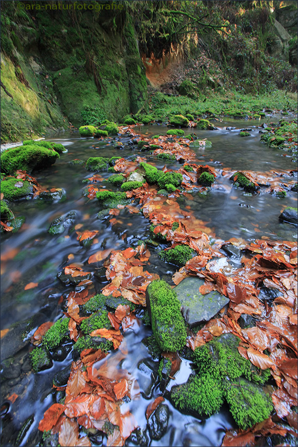 Im Silberbachtal