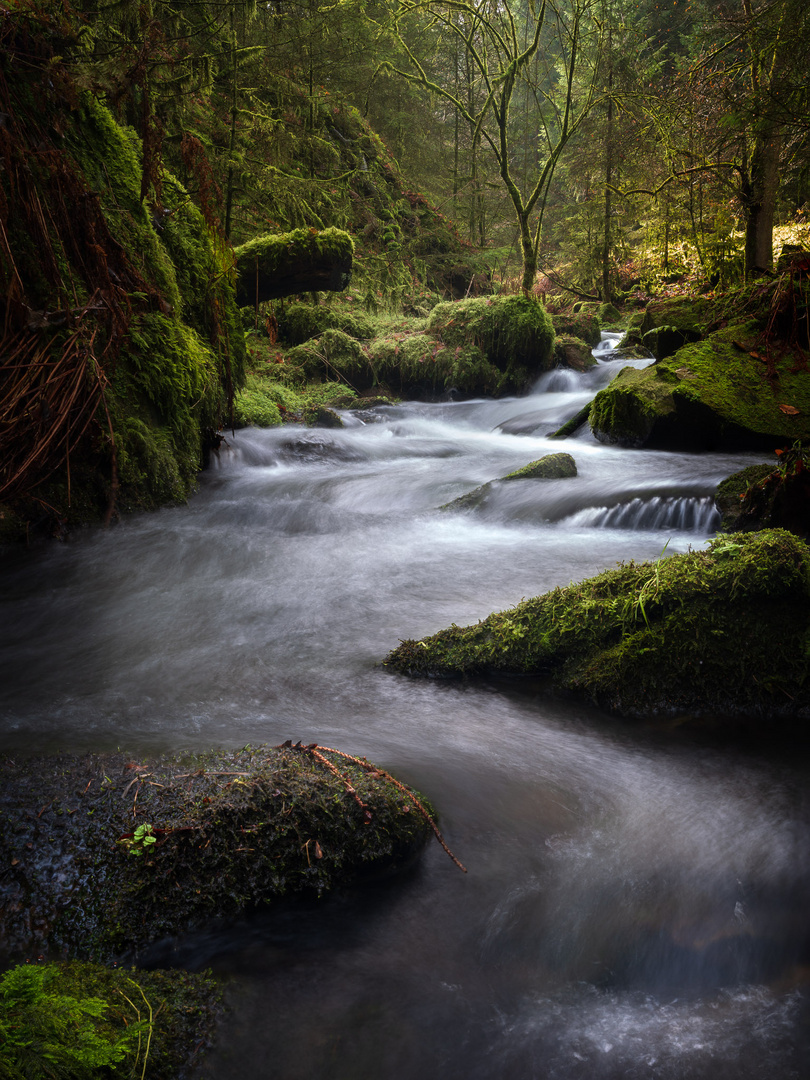 Im Silberbachtal