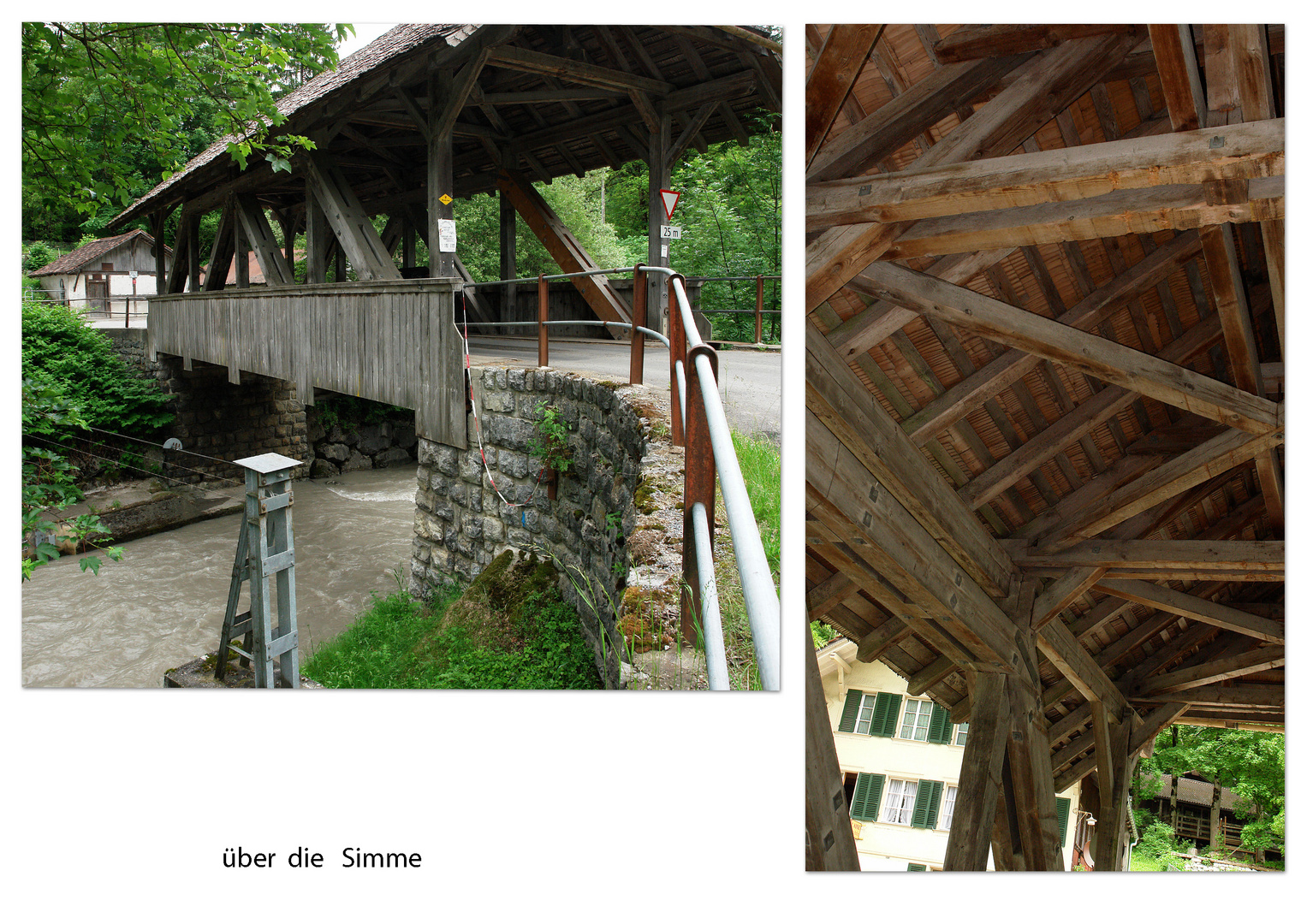 im Simmental, Schweiz