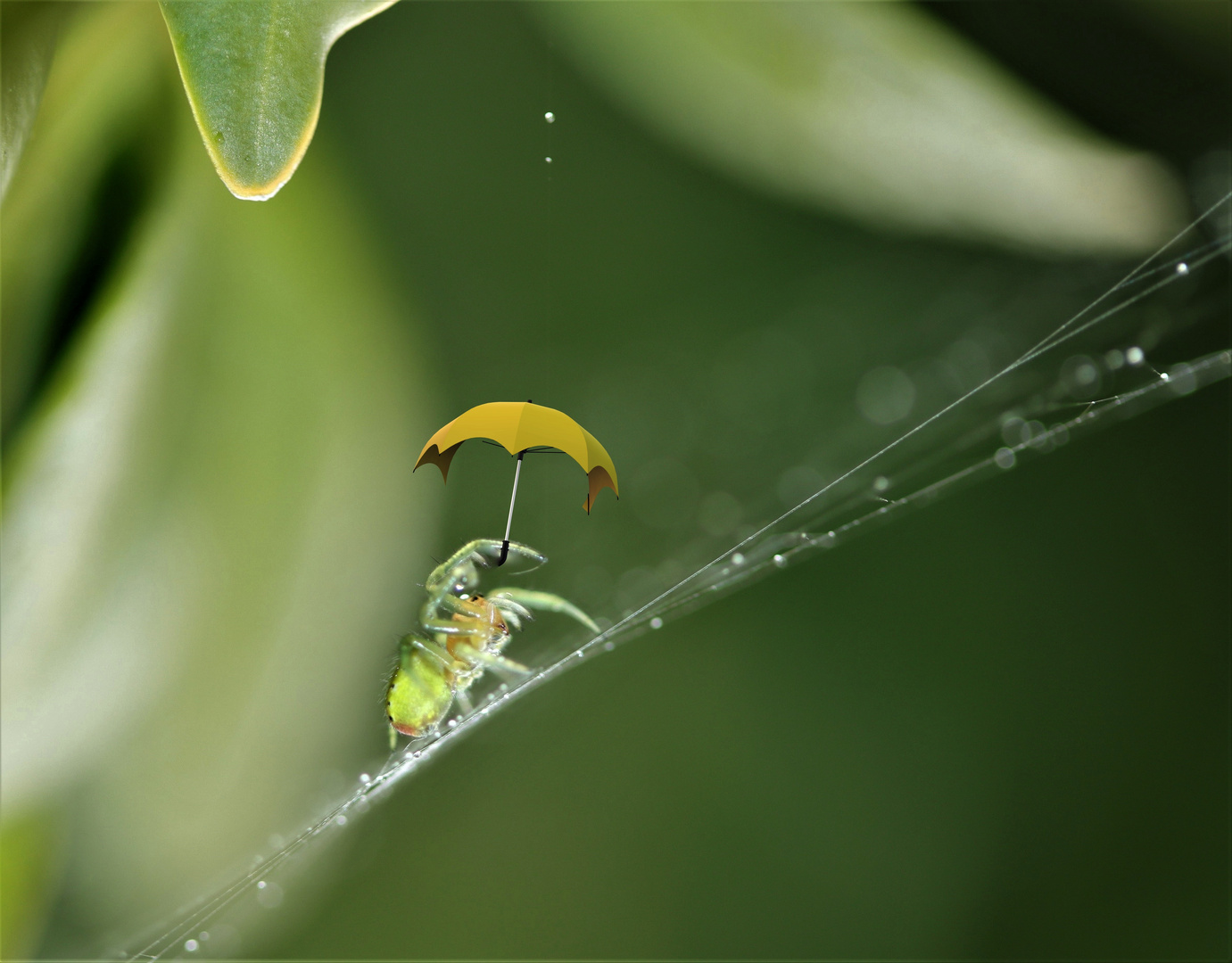 I'm singin' in the rain....