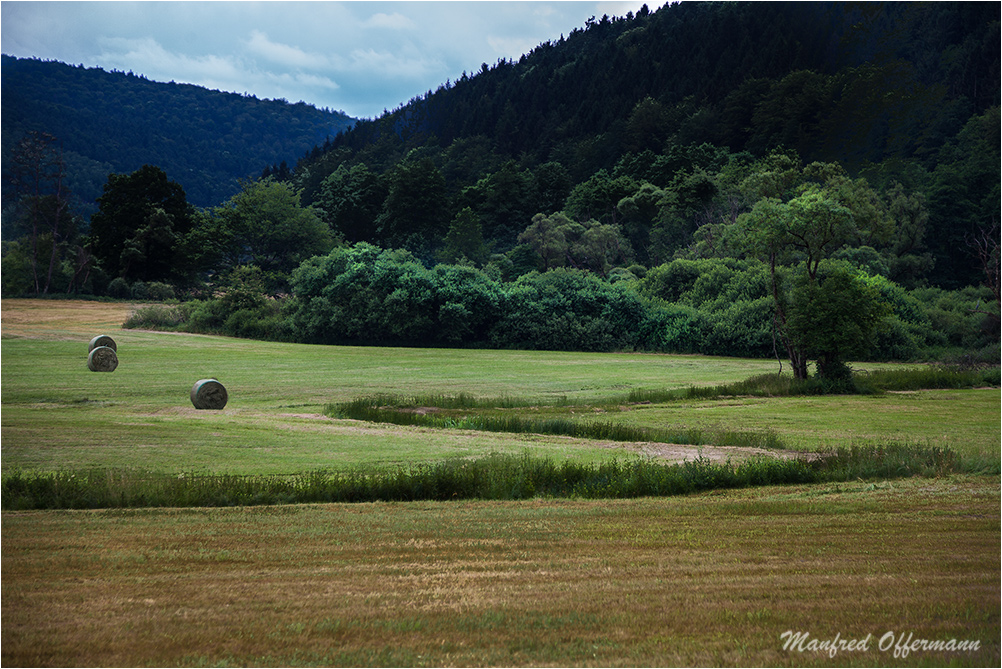 Im Sinngrund ( Spessart )